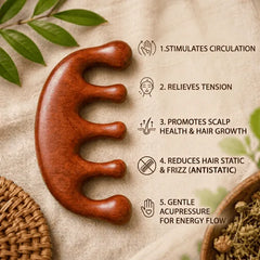 PREMIUM WOOD GUASHA SCALP COMB (5-Tooth Meridian) - Scalp Stimulation, Acupoint Massaging and Hair Growth Promotion